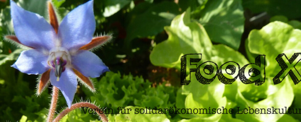 Food X - offenes Plenumstreffen