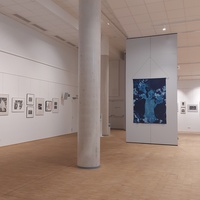 Gallery Foto