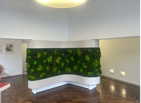 Neu sanierte Ordinations- und Behandlungsräume (13-29 m²) tageweise, halbtags oder dauerhaft im Servitenviertel zu vermieten