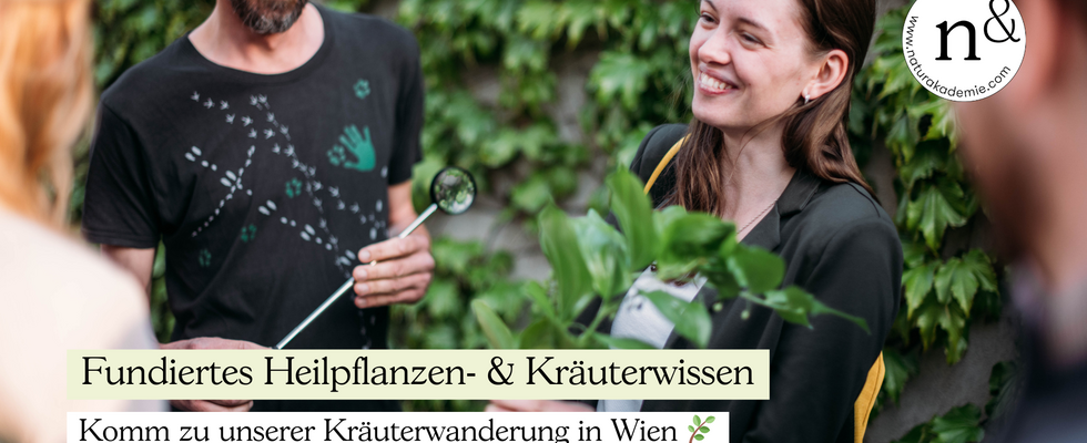 Kräuterwanderung