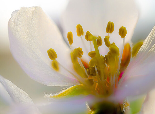 Ich achte gut auf mich! Selbstfürsorge in stressigen Zeiten