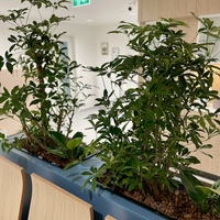 Gallery Foto