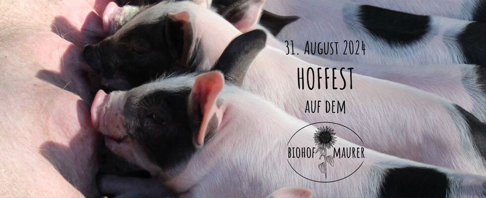 Hoffest beim Biohof Maurer