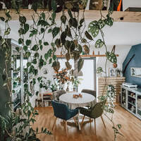 Gallery Foto