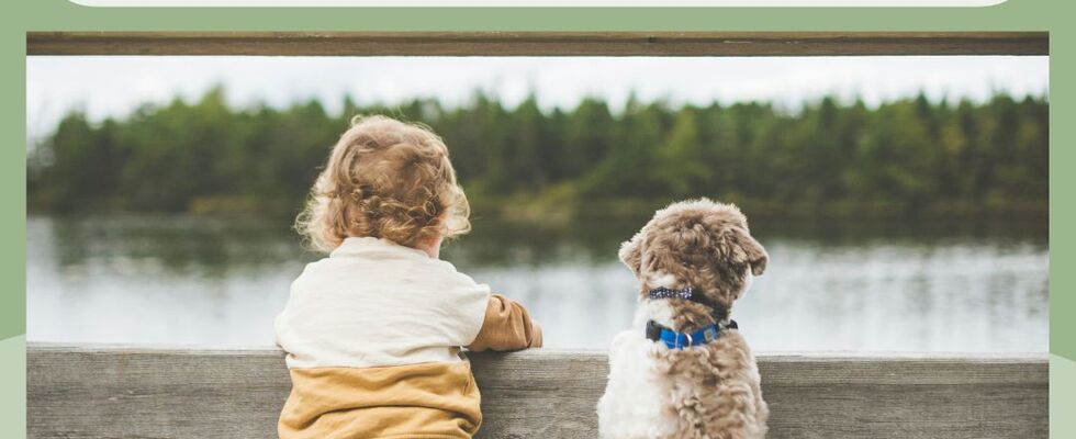 Gratis Vortrag: So schützen wir Kinder & Hunde vor Überforderung