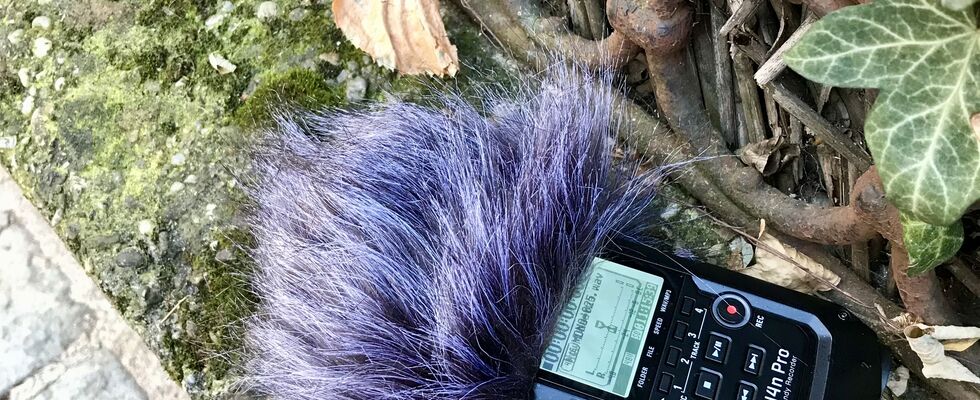 Einführung in elektronische Musik – Klang entdecken und selbst gestalten