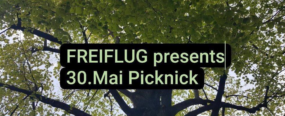 Picknick mit Musik