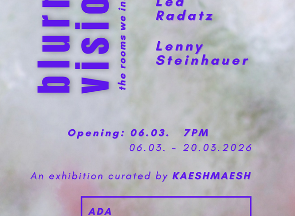 Blurry Vision: The Rooms We Inherit