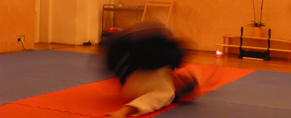 AIKIDO Herbsttraining mit Claudia Heu (AT)