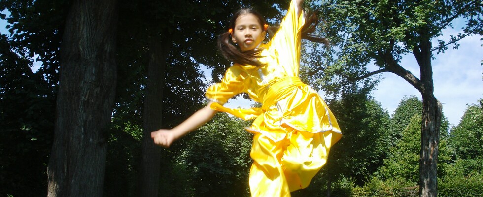Kinder Kung Fu: für Kinder im Volkschulalter - Try Out