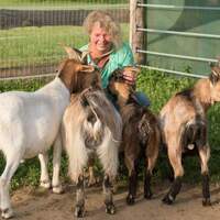 Kleine Mitmachfarm