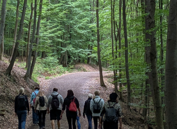 Gemeinsam unterwegs im Lainzer Tiergarten