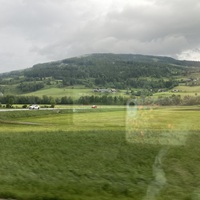 Gallery Foto