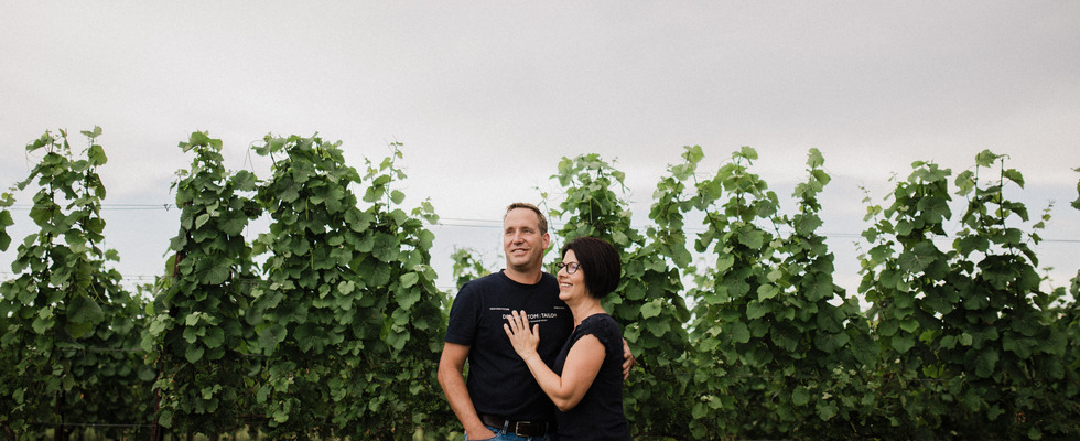 Weingut Holzmann – Weinviertel und die stille Kraft der Natur