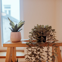 Gallery Foto