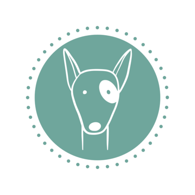 Hundetraining ANDEVE.DOG