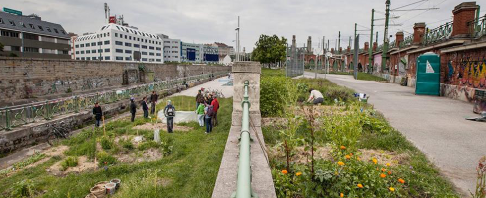 Workshop "Extensives Gärtnern in der Stadt" @ Schraubenfabrik