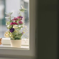 Gallery Foto