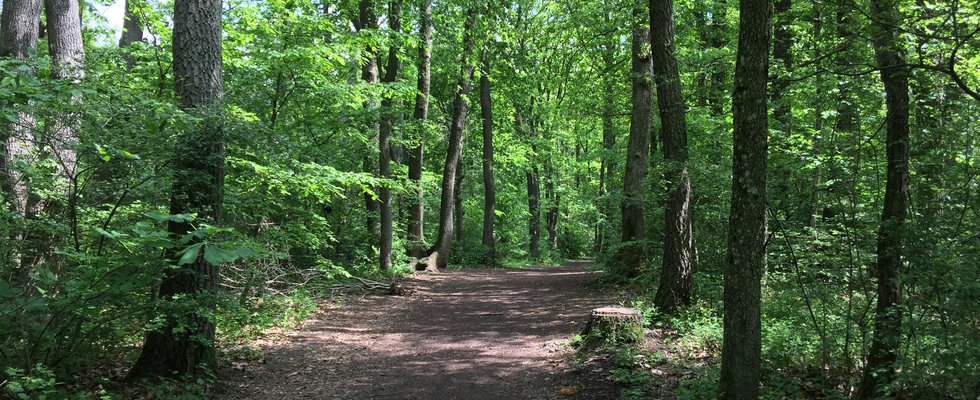 Wienerwaldbaden