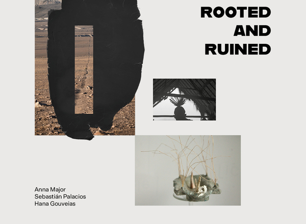  ROOTED AND RUINED - Ausstellung