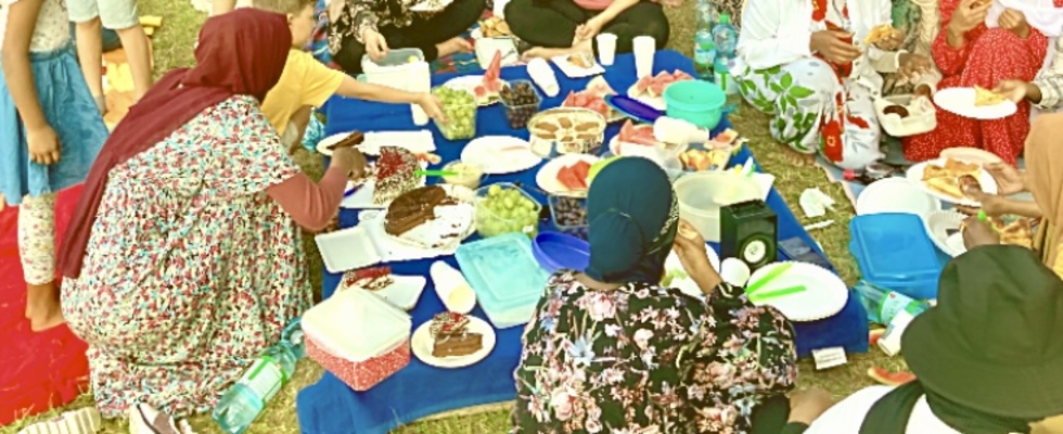 Diversoviel Picknick