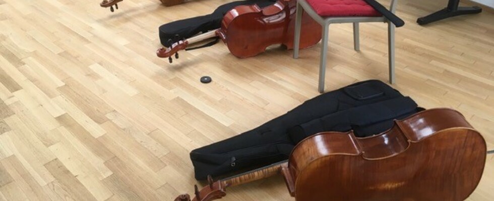 Cello-Schnupperworkshop für Anfänger