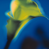 Gallery Foto