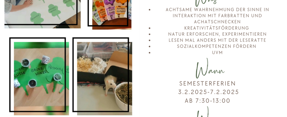 Rattenscharfer tiergestützter Semesterferien Workshop