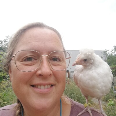 #<CrowdReward:0x00007ff0520cba58>