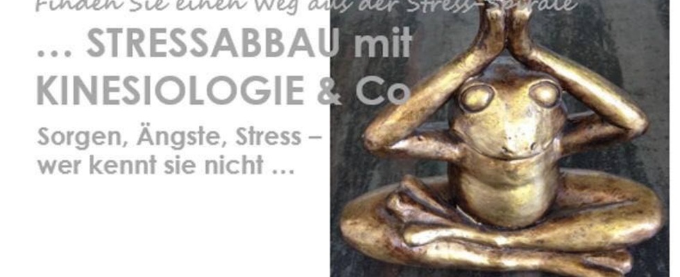 Stressabbau mit Kinesiologie & Co Workshop 