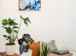 Gallery Foto