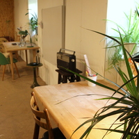 Gallery Foto