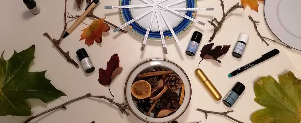 Workshop "Waldbaden zuhause"