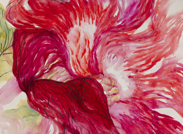 "Blind Mirror" art exhibition by Katarzyna Swinarska