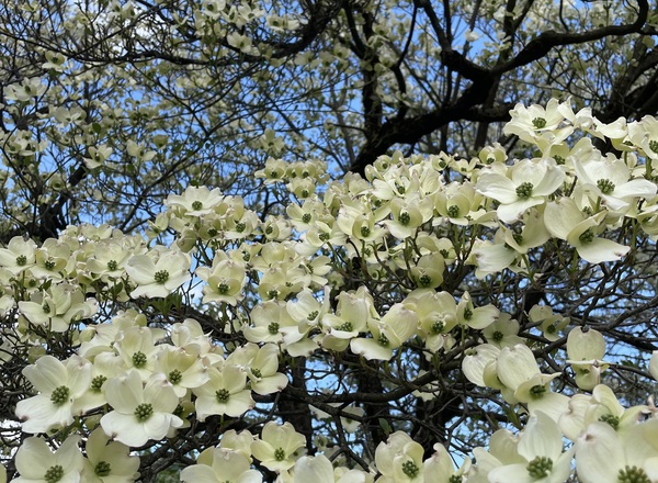 Praxisraum im Saggen