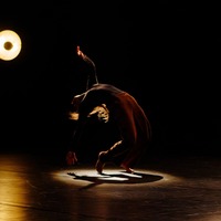 Gallery Foto