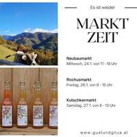 Gallery Foto