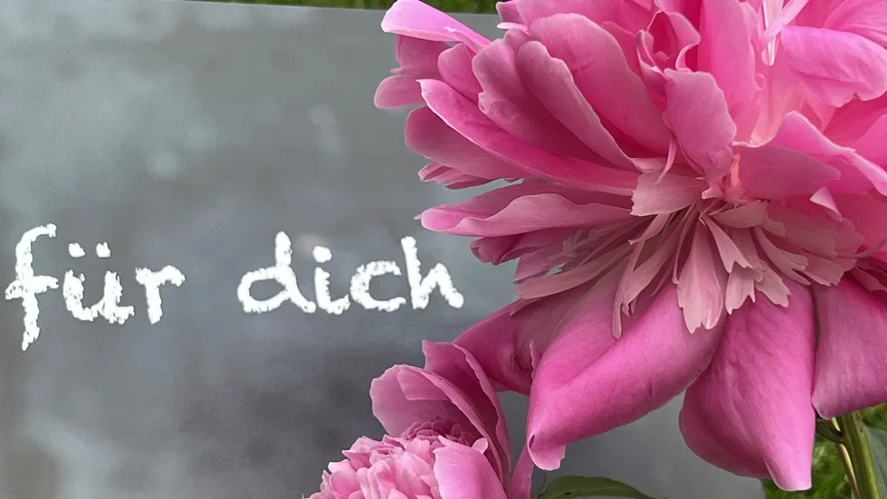 Lucia Schramm-Kaineder,  WE GROW | Building Communities – Foto 1