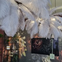 Gallery Foto