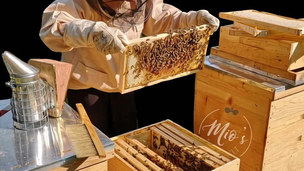 Mio’s Bienenwelt- Imkereibedarf, Bienenprodukte und Räucherwerk – Foto 1