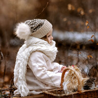 Gallery Foto