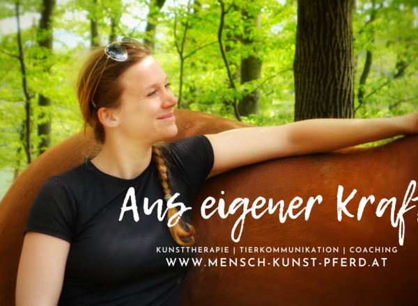 mensch.kunst.pferd