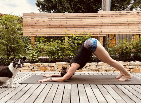 die Umkehrhaltungen - ein YogaWorkshop