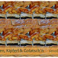 Gallery Foto