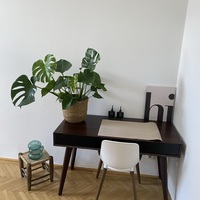 Gallery Foto