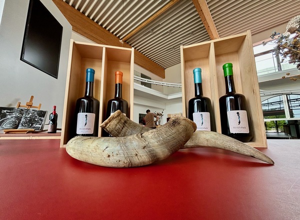 Biodynamisch. Lebendig. Balaton. Ein Abend mit Kristinus