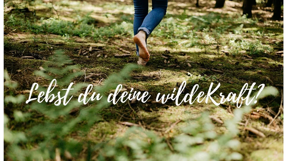 wildeKraftsein Coaching - Annika Wild – Foto 1