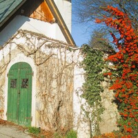 Gallery Foto