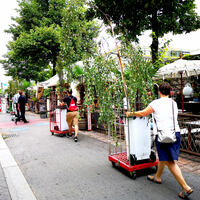 Gallery Foto