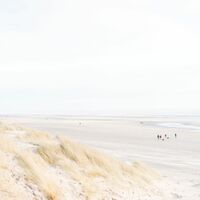 Gallery Foto